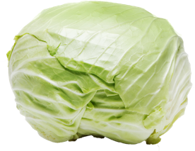高麗菜