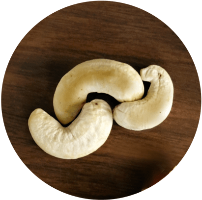 油脂與堅果種子類